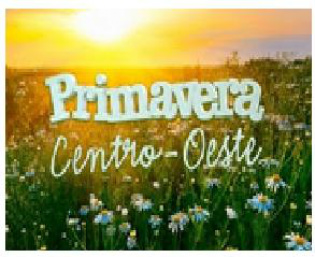 Primavera 2014 - Região Centro - Oeste Foto Reprodução Enfoque MS