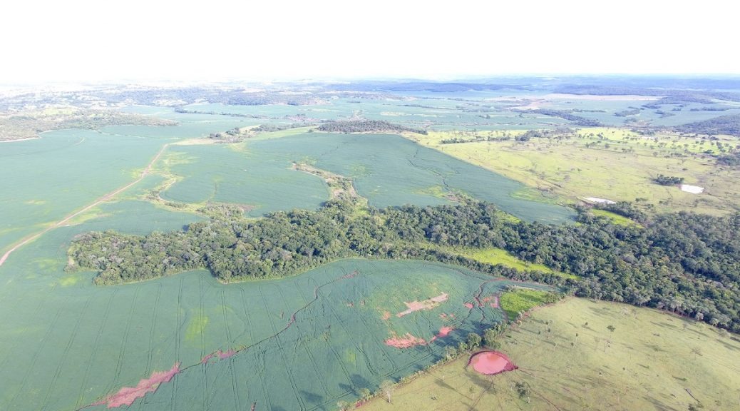 Polícia Ambiental autua 5º produtor rural por desmatamento ilegal neste início de ano