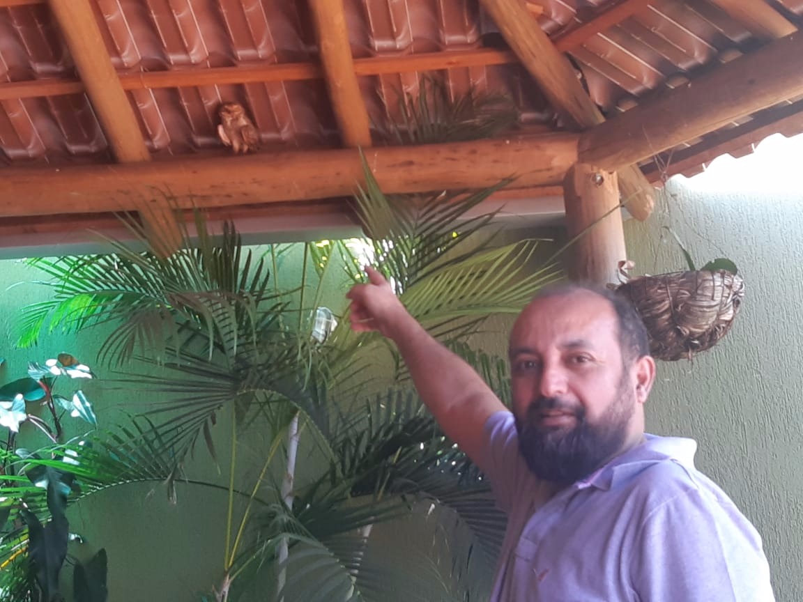 Fama de noturna e birrenta cai por Terra e Coruja mora na varanda como xodó de família Edmar disse que esse ano parece que ela não vai embora tão cedo não. (Foto: Arquivo Pessoal)