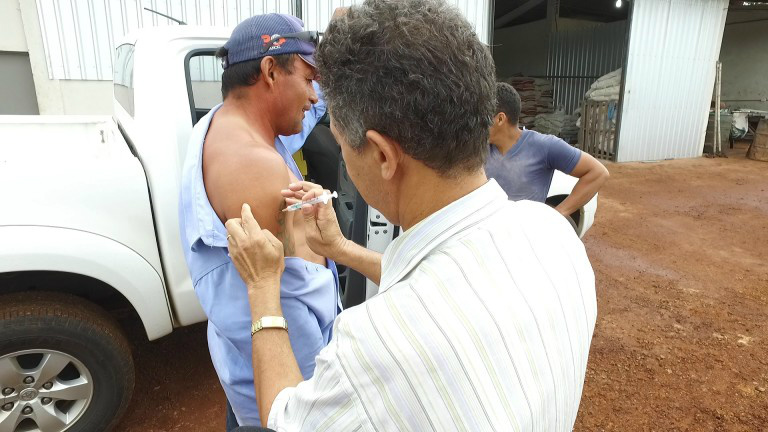 Imunização contra febre amarela atinge 25% das pessoas visitadas
