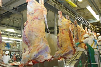 Cresce procura pelo credenciamento no programa Precoce MS Meta anunciada pelo governo do Estado é chegar até o fim do ano com 80 mil abates pelo programa - Foto: Divulgação/Semagro