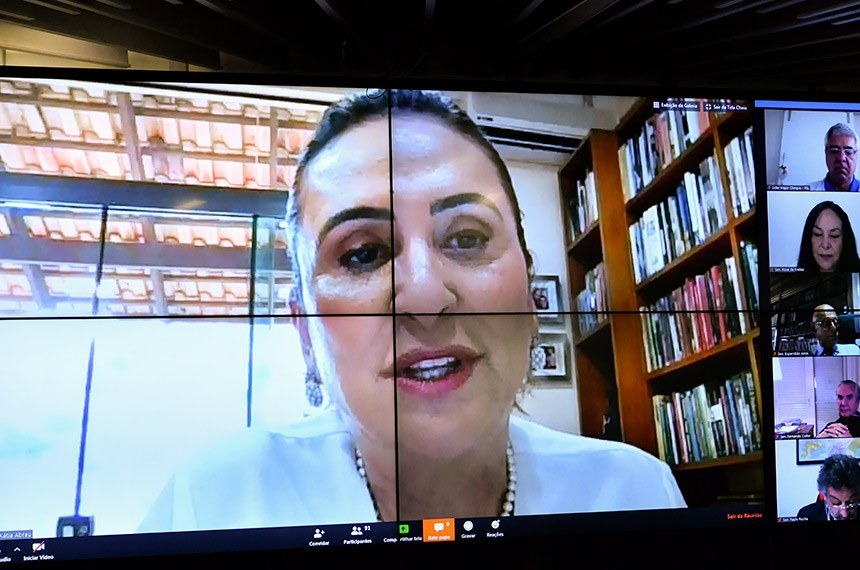 A senadora Kátia Abreu (PP-TO) é a relatora da proposta. Waldemir Barreto/Agência Senado

