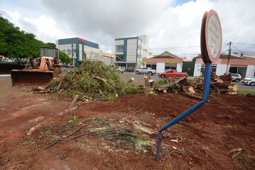 Árvore caída interditou Avenida nesta amanhã em Campo Grande - Foto: Álvaro Rezende/ Correio do Estado