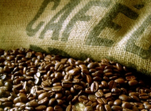 Produtores debatem ganhos de qualidade na Semana Internacional do Café