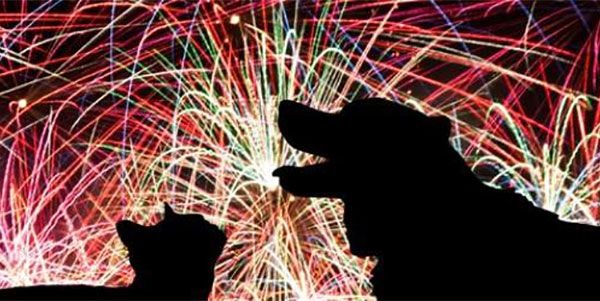 Projeto de Lei que proíbe fogos sonoros é aprovado por Câmara Municipal Reprodução