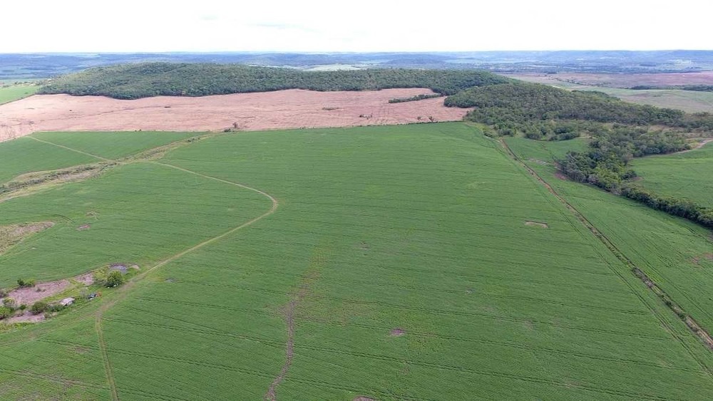 Com uso de drone, PMA autua fazendeiro em R$ 43 mil por desmatamento ilegal (Foto: PMA/Divulgação)