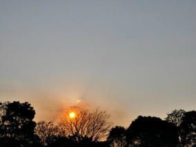 Temperaturas devem permanecer altas em MS (Foto: Isabela Cavalcante / G1 MS)