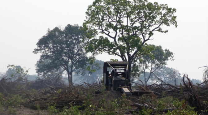 MS é o segundo no país em qualidade do licenciamento ambiental