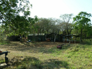 Raio atinge acampamento e fere 11 militares do Exército Local onde militares estavam acampados em propriedade rural - Foto: Divulgação
