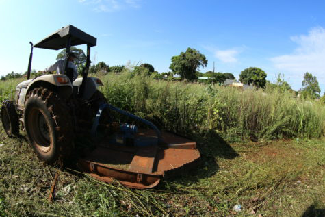 Limpeza de terrenos baldios avança para várias regiões da cidade – A. Frota
