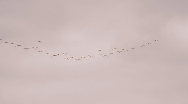 (Edemir Rodrigues/Governo MS)