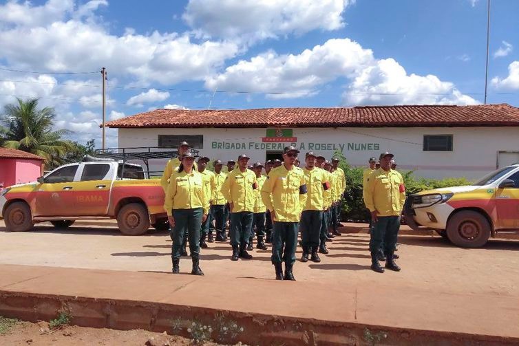 Ibama vai contratar brigadas para prevenir e combater incêndios Brigada Federal de prevenção e combate a incêndio florestal - Divulgação Ministério do Meio Ambiente