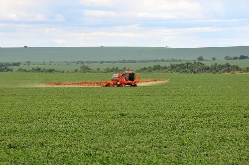 Soja lidera as vendas ao exterior e movimentou US$ 1,476 bilhão durante o ano passado, aumento de 25% na exportação - Foto: Valdenir Rezende/ Arquivo Correio do Estado