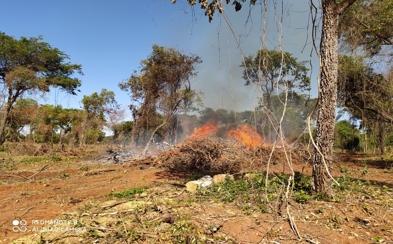 Produtor rural é autuado por colocar fogo em pastagem e galhadas sem licença ambiental