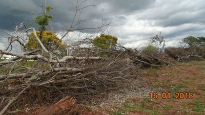 Pecuarista é autuado em R$ 7 mil por desmatamento ilegal de cerrado