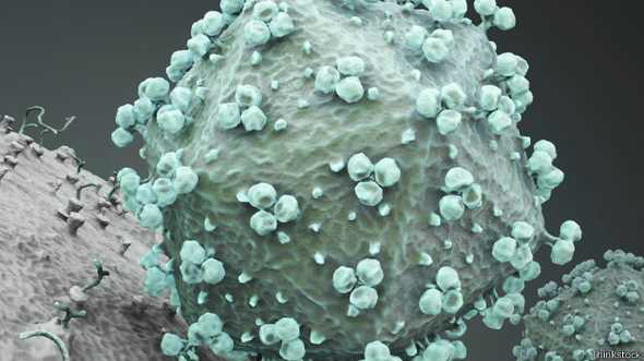 A disseminação do vírus HIV levou a uma pandemia de Aids que infectou cerca de 75 milhões de pessoas