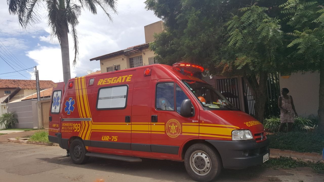 Pedro Kemp (PT) cai de escada ao tentar pegar goiaba