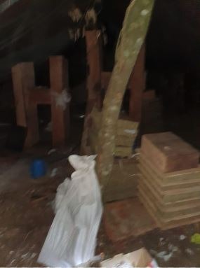 Polícia encontra três mortos em área de plantação de maconha na fronteira