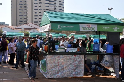Barracas onde os legumes e as verduras são expostos terão novo layout e cobertura - Foto: Valdenir Rezende / Correio do Estado