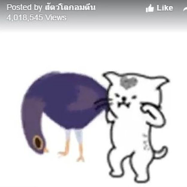 Qual a origem da Trash Dove, pomba roxa que invadiu o Facebook e virou até 'símbolo nazista' Após aparecer em vídeo em página tailandesa, pomba ganhou o mundo.
FACEBOOK/ANIMALES CON PATAS