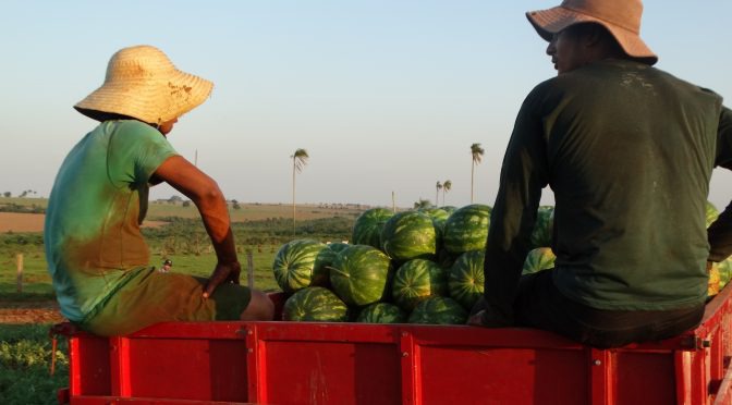 Em Mato Grosso do Sul, o agricultor familiar conta com o apoio da Agraer também no Programa Nacional de Crédito Fundiário

