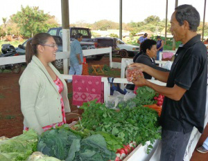 Semana Municipal da Agroecologia começa nesta 2ª em Dourados Objetivo é conscientizar a população sobre a importância da produção e do consumo de alimentos produzidos de forma sustentável - Foto: Assessoria