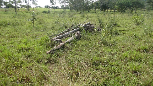 Operação Cervo-do-Pantanal autua oitavo fazendeiro em Jardim
