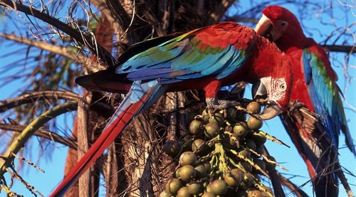 Caravana da Fundtur leva roadshow ao interior de São Paulo para promover destinos turísticos