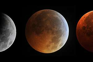 Estágios da Lua de Sangue: de eclipse parcial a total com a cor avermelhada
Foto: Getty/KAREN BLEIER / AFP