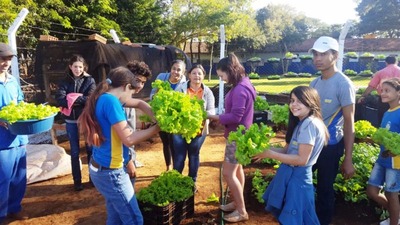 Alunos da escola Coronel Firmino já produzem hortaliças em Macaúba