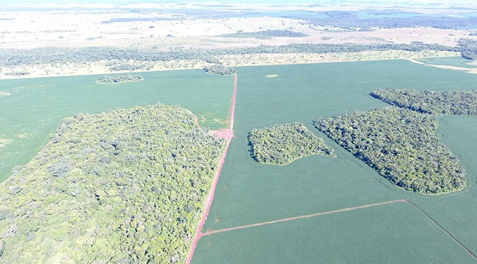 PMA identifica 75 mil ha de áreas suspeitas de desmatamento ilegal