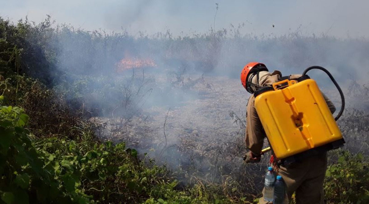 Bombeiros realizam trabalho de rescaldo nas áreas queimadas, evitando ressurgimento de focos. CBMS