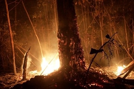 Ação de militares na Amazônia começa com 400 homens Ação tem como objetivo combater incêndios
Ueslei Marcelino/Reuters