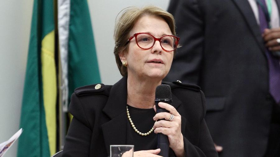 
A ministra da Agricultura, Pecuária e Abastecimento, Tereza Cristina (DEM), fala na comissão de Meio Ambiente da Câmara dos Deputados. Vinicius Loures/Câmara dos Deputados