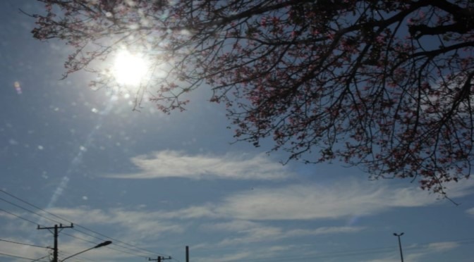 Quarta-feira será de tempo firme e máxima de 37°C Chico Ribeiro