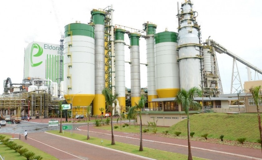 Paper Excellence vai avaliar evolução do mercado antes de decidir sobre retomada de projeto - Arquivo/divulgação