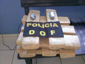 Droga apreendido pelo DOF - Foto: Divulgação