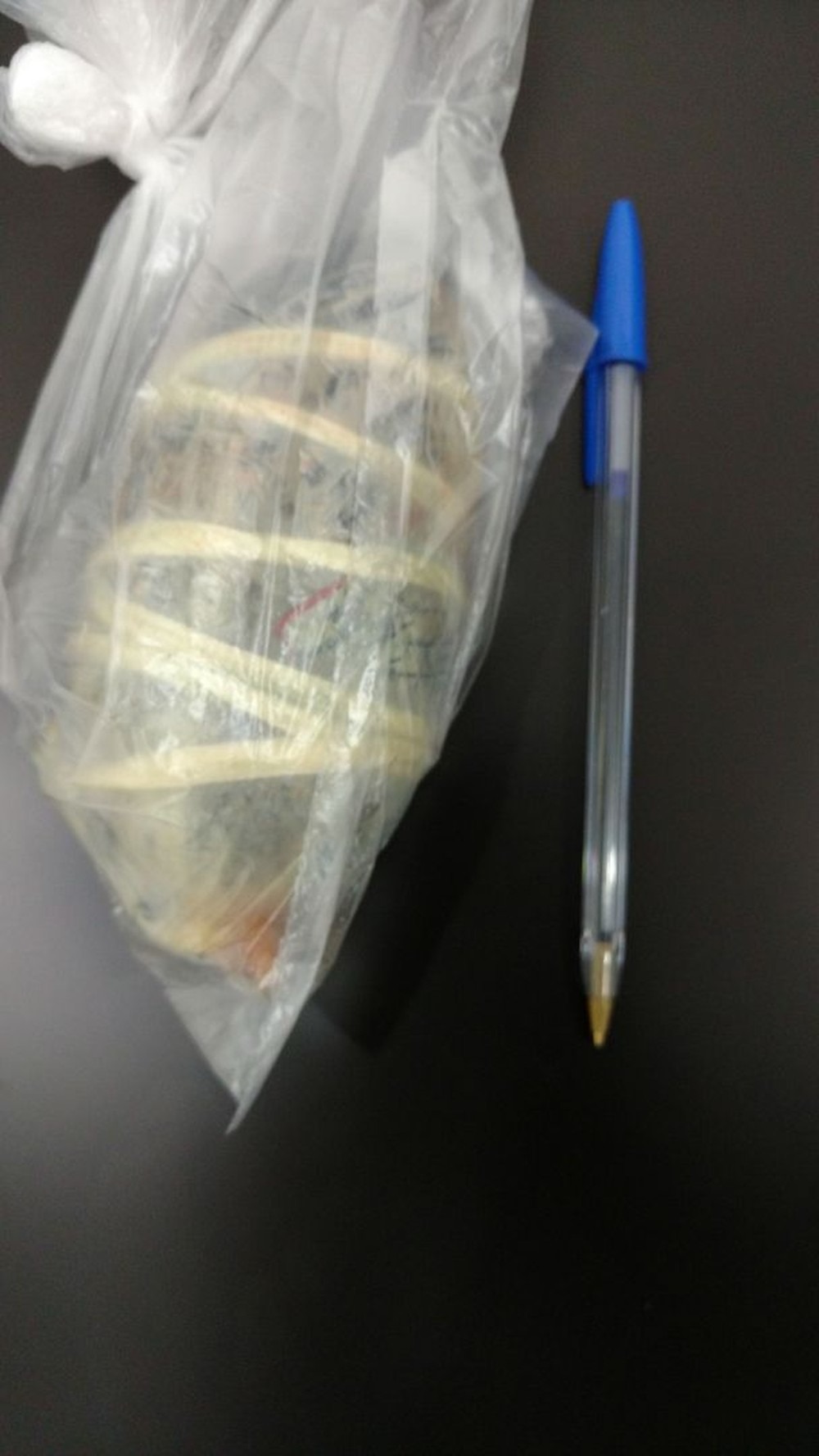Porção da droga localizada nas partes íntimas da suspeita em MS (Foto: Polícia Civil/Divulgação)