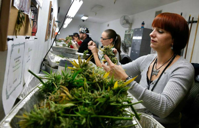 A Agência Nacional de Vigilância Sanitária (Anvisa) recebeu desde abril deste ano 167 pedidos excepcionais de importação do canabidiol (CDB), substância derivada da maconha, para uso pessoal.
Foto:AP