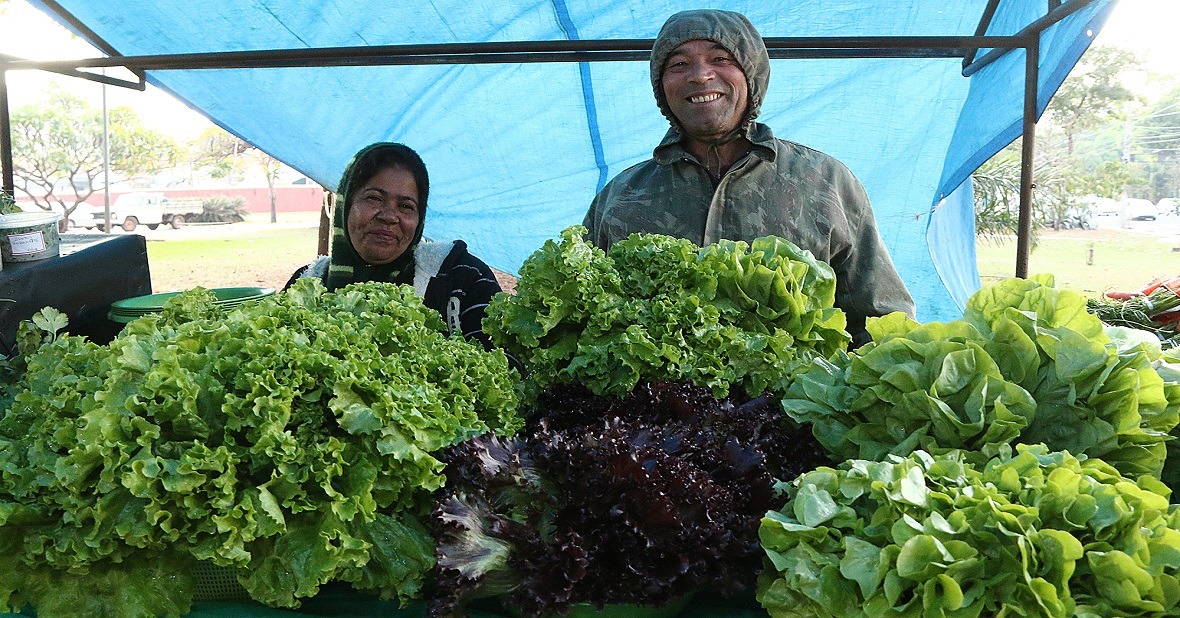 Agricultura familiar estimula consumo sustentável e fortalece economia regional