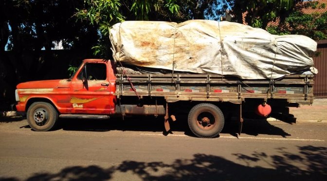 PMA apreende caminhão com carga de carvão ilegal e autua carvoeiro em R$ 3 mil