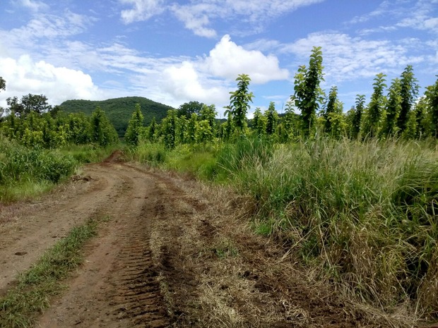 Fazendeiro é multado em mais de R$ 16 mil por desmatamentos ilegais em duas propriedades