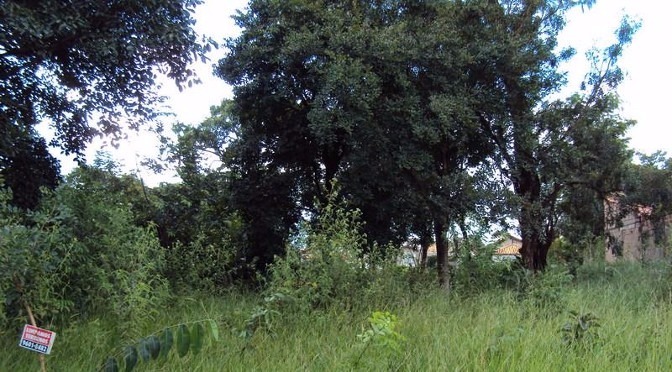 Terreno de 450,00 m², no bairro Parque Rita Vieira na Capital.