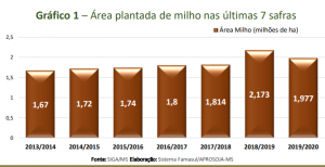 Estiagem pode impactar produtividade do milho e reduzir previsão da supersafra