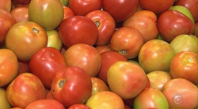 Tomate ficou quase 20% mais caro em janeiro. (Foto: Divulgação)
