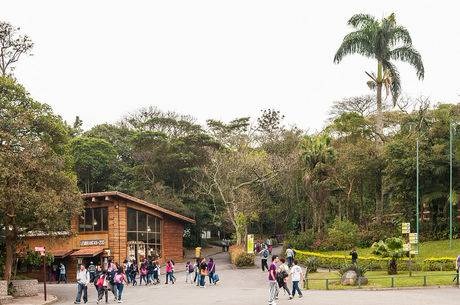 Bugiu morto foi encontrado na região do Zoológico
The Photographer/Domínio Público