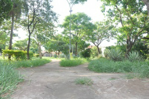 O mato invadiu as praças em quatro meses sem manutenção (Foto: Marcelo Calazans)