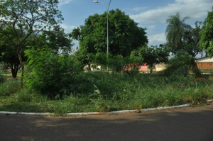 No cruzamento com a Rua Lenir Flores Bergozi, a praça possui locais com mato alto (Foto: Marcelo Calazans)