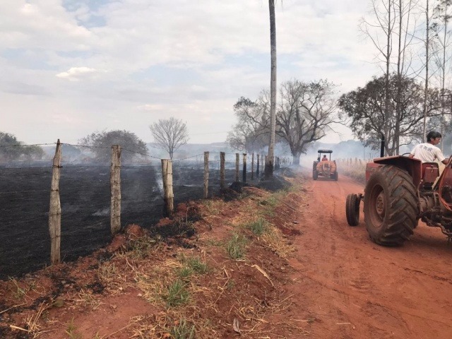 Fogo destrói vegetação na BR-262 e mobiliza bombeiros e PRF (Foto: Aletheya Alves)