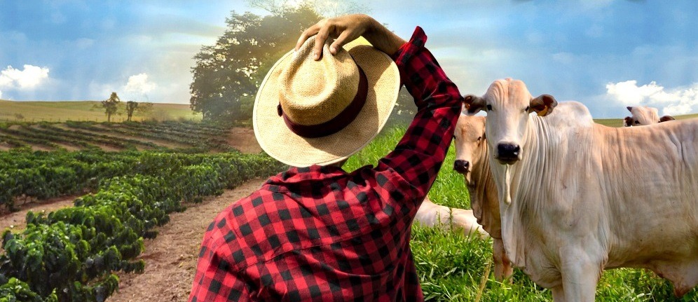 Dia do Agronegócio será comemorado hoje com solenidade na Câmara